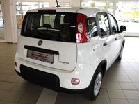 gebraucht Fiat Panda Hybrid 1,0 GSE / Klima, Servo, Radio, FH, ZV