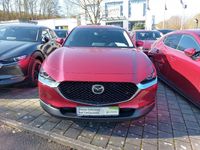 Gebraucht Mazda CX-30 Selection 122 PS (89 kW) 2019 Rot SUV