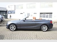 gebraucht BMW 230 i Cabrio Leder LED Klimaautom SHZ Verkehrszeichenerk.