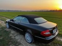 Gebraucht Mercedes CLK320 Elegance 224 PS (164 kW) 2006 Grau Cabrio