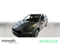 Gebraucht Skoda Octavia Style 150 PS (110 kW) 2024 Grau Kombi