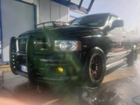 gebraucht Dodge Ram 5.7 Hemi Single Cab Rumble Bee (kein SRT10)