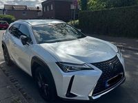 Gebraucht Lexus UX 250h 184 PS (135 kW) 2020 Weiß SUV