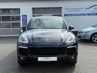 Gebraucht Porsche Cayenne 262 PS (192 kW) 2015 Blau SUV