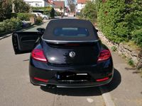 Gebraucht VW Beetle 150 PS (110 kW) 2018 Kleinwagen