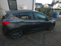 Gebraucht Ford Fiesta ST-Line 101 PS (74 kW) 2019 Grau Kleinwagen