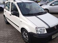Gebraucht Fiat Panda Active 54 PS (39 kW) 2010 Weiß Kleinwagen