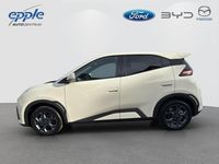 Neu BYD Dolphin Surf Comfort 114 kW (156 PS) 2025 Weiß Kleinwagen