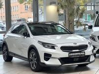 Gebraucht Kia XCeed Platinum Edition 204 PS (150 kW) 2020 Hw2 deluxeweiss met. SUV