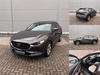 Gebraucht Mazda CX-30 179 PS (131 kW) 2020 SUV