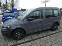 Gebraucht VW Caddy 102 PS (75 kW) 2020 Pure grey Van / Kleinbus