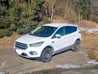 Gebraucht Ford Kuga Trend 150 PS (110 kW) 2017 Weiß SUV