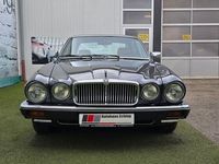 Gebraucht Jaguar XJ6 205 PS (150 kW) 1980 Grau Limousine