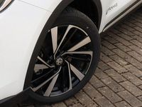 Gebraucht MG ZS Luxury 197 PS (144 kW) 2025 Dover white (weiß) SUV