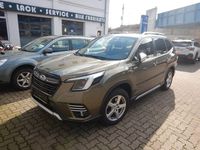 Gebraucht Subaru Forester Comfort 150 PS (110 kW) 2023 Grün SUV
