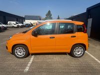 Gebraucht Fiat Panda Easy 69 PS (50 kW) 2017 Orange Kleinwagen