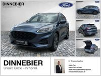 Gebraucht Ford Kuga ST-Line X 190 PS (139 kW) 2024 Chroma blau met SUV