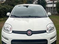 Gebraucht Fiat Panda 69 PS (50 kW) 2017 Weiß Kleinwagen