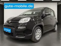 Usata Fiat Panda 69 CV (50 kW) 2024 Nero Utilitaria