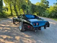 Gebraucht Corvette Stingray 165 PS (121 kW) 1976 Schwarz
