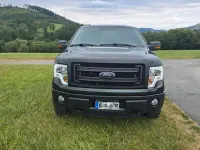 Gebraucht Ford V8 XLT 364 PS (267 kW) 2014 Grün Pickup