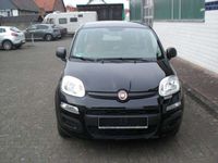 gebraucht Fiat Panda Easy 1,2 8V