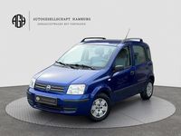 Gebraucht Fiat Panda Dynamic 60 PS (44 kW) 2007 Blau Kleinwagen