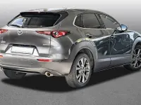 Gebraucht Mazda CX-30 Selection 180 PS (132 kW) 2021 Grau SUV
