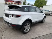 Gebraucht Land Rover Range Rover evoque Pure 150 PS (110 kW) 2016 Fuji white SUV
