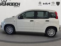 Gebraucht Fiat Panda Icon 65 PS (47 kW) 2026 Weiss Kleinwagen