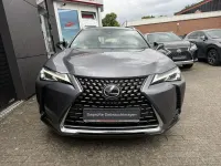 Gebraucht Lexus UX 178 PS (130 kW) 2019 Grau SUV