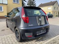 gebraucht Fiat Punto 1.2 8V Sound