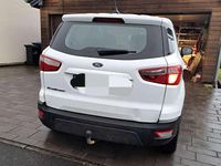 Gebraucht Ford Ecosport Trend 101 PS (74 kW) 2020 Weiß SUV