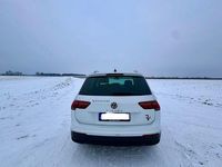 Gebraucht VW Tiguan Active 150 PS (110 kW) 2021 Weiß SUV