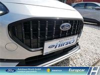 Gebraucht Ford Fiesta Active 125 PS (91 kW) 2022 Silber Kleinwagen