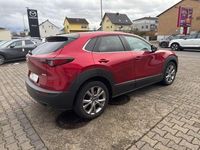 Gebraucht Mazda CX-30 2020 Rot SUV