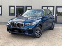 Gebraucht BMW X5 M Sport 265 PS (194 kW) 2019 Blau SUV