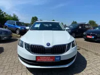 Gebraucht Skoda Octavia Active 86 PS (63 kW) 2018 Weiß Limousine