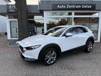 Gebraucht Mazda CX-30 Exclusive 140 PS (102 kW) 2024 Weiß SUV