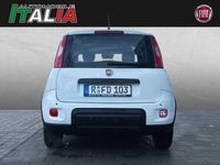 Gebraucht Fiat Panda 70 PS (51 kW) 2024 Weiß Kleinwagen