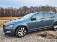 Gebraucht Skoda Octavia Soleil 116 PS (85 kW) 2019 Grau Kombi