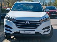 Gebraucht Hyundai Tucson 132 PS (97 kW) 2018 Weiß SUV