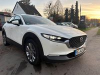 Gebraucht Mazda CX-30 Selection 116 PS (85 kW) 2019 Weiß SUV