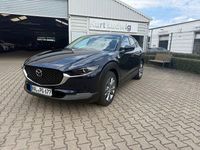 Gebraucht Mazda CX-30 Exclusive-Line 140 PS (102 kW) 2025 Blau SUV