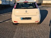 Gebraucht Fiat Punto 60 PS (44 kW) 2012 Weiß Kleinwagen