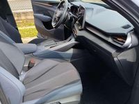 Usata Cupra Terramar 204 CV (150 kW) 2025 Grigio SUV