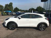 Neu Ford Puma Titanium 125 PS (91 kW) 2025 Weiß SUV