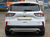 Gebraucht Ford Kuga Titanium 150 PS (110 kW) 2021 Frozen white SUV