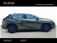 Gebraucht Lexus UX 250h Luxury Line 178 PS (130 kW) 2020 Grün SUV