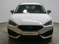 Używany Cupra Leon 150 KM (110 kW) 2024 Biały Kombi